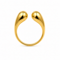 RO-ANILLO